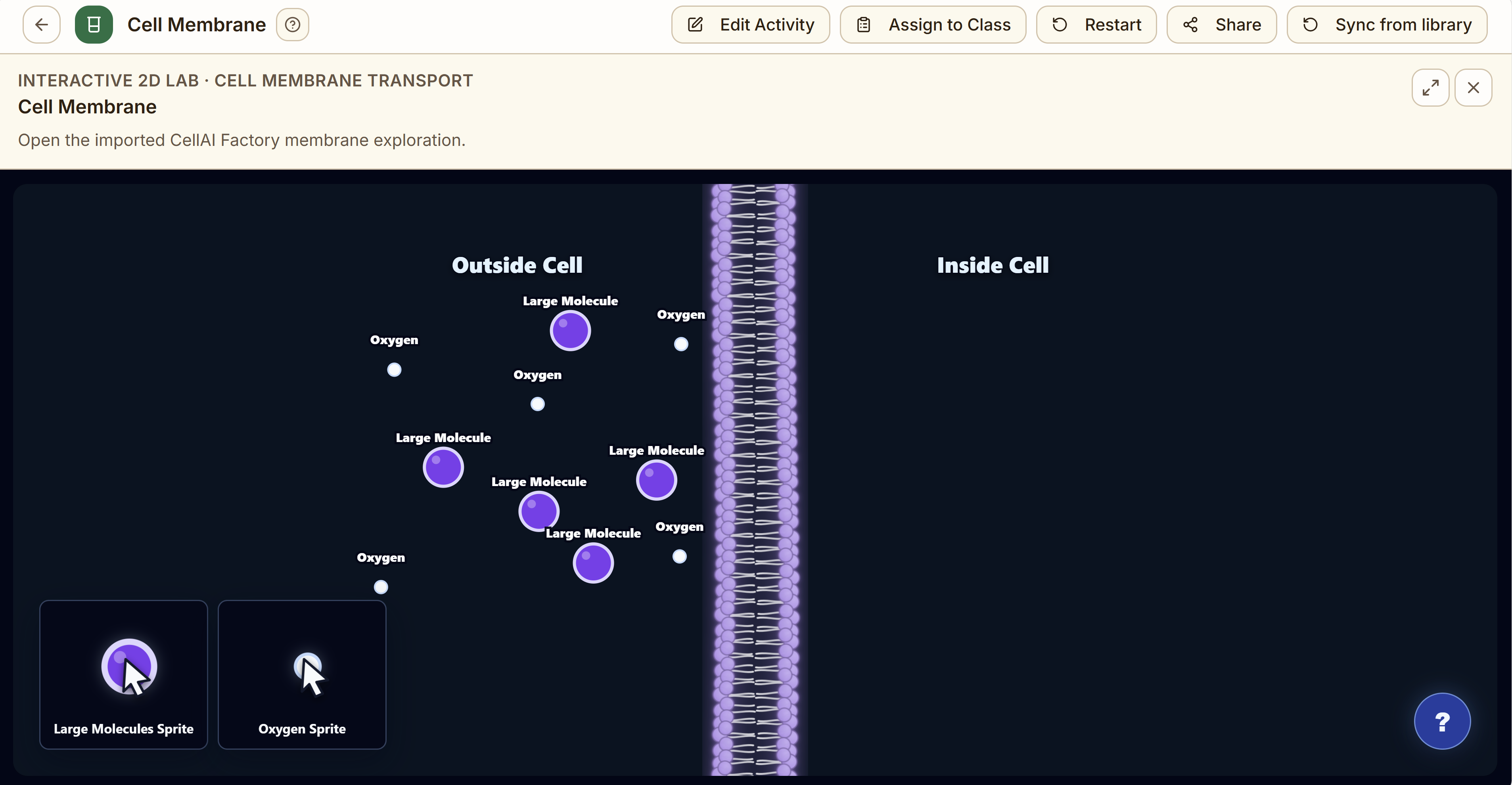 Interactive cell membrane transport activity